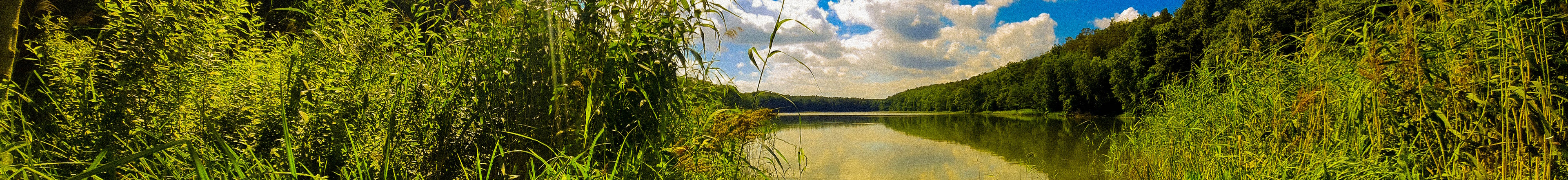 Chodzież - Jezioro Strzeleckie
